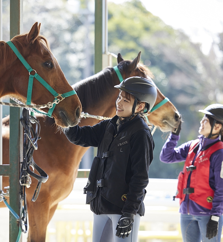 乗馬体験１回コース クラブ一覧 近畿エリア 大阪府 乗馬クラブ クレイン大阪 乗馬クラブクレイン 全国36ヶ所の乗馬クラブ