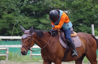 どの馬も、全部性格が違って面白い～U29会員の楽しみ方：はじめて乗馬